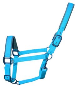 Woof Wear Grime - Turquoise