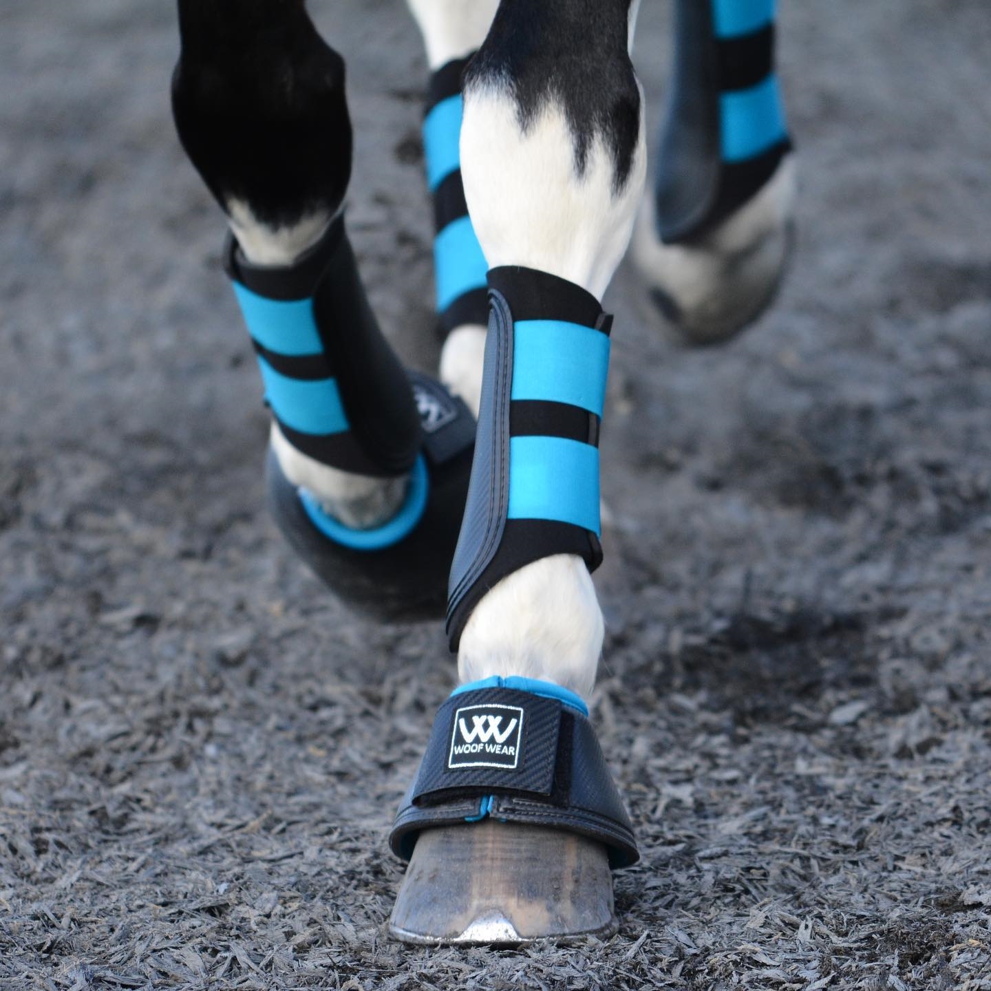 Woof Wear | Strygegamacher | Black - Billede 3